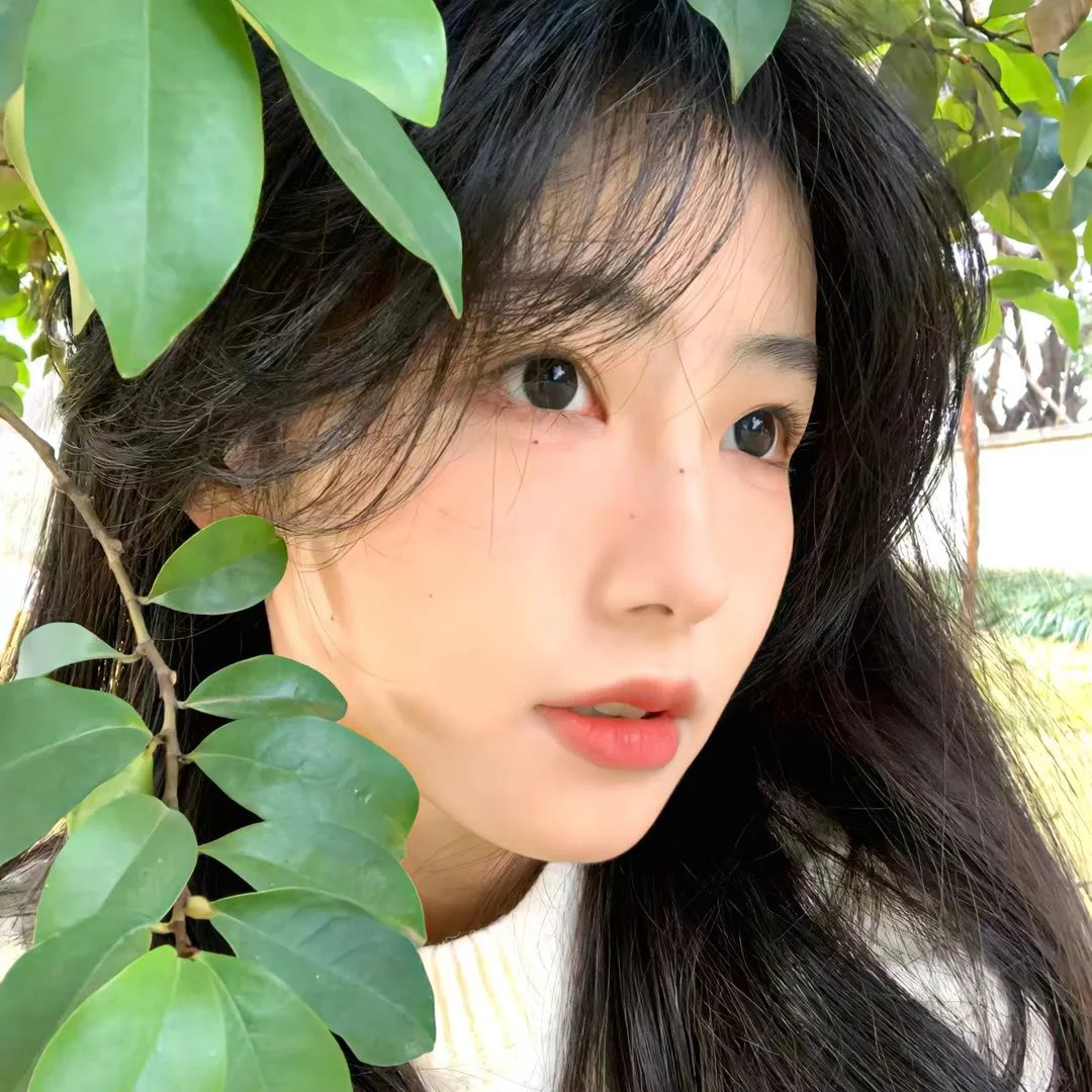 森林